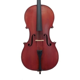 French Cello c.1900 Labelled BERGONZI