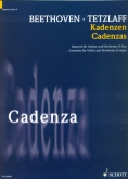 Cadenza - Concerto for Violin and Orchestra D-major