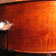 Schoenbach Cello Après