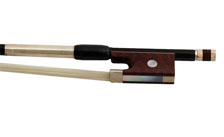 Carbow Violin Bows