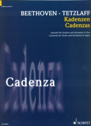 Cadenza - Concerto for Violin and Orchestra D-major