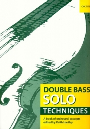 Double Bass Solo Techniques