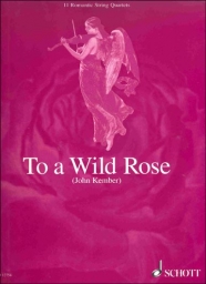 To a Wild Rose