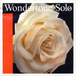 Corde Wondertone Solo Argent RÉ pour violon - Medium - 4/4