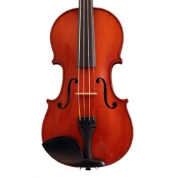 French Violin Labelled NICOLAS AMATUS CREMONES