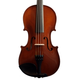 French Violin Labelled CARLO ANTONIO TESTORE c. 1920