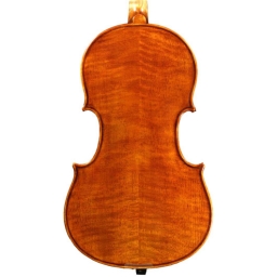 Snow Viola #200 - 16"