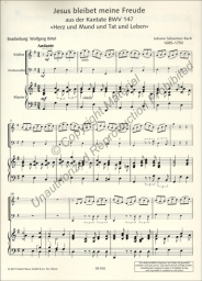 Bach - Jesu, Joy of Man