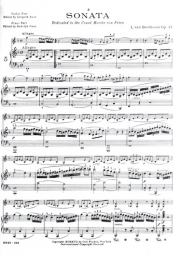 Beethoven - Violin Sonata in F major, Op. 24 "Spring" (FISCH) Beethoven - Violin Sonata in F major, Op. 24 "Spring" (FISCH)