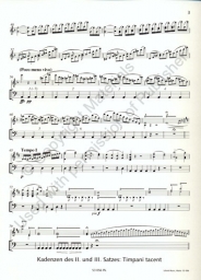 Cadenza - Concerto for Violin and Orchestra D-major
