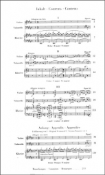 Brahms - Piano Trios (HEN)