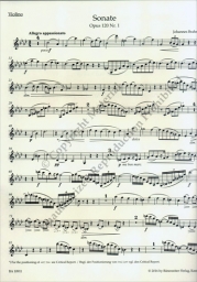 Sonata in F minor and E-flat major Opus 120