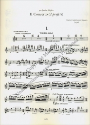 Concerto No. 2