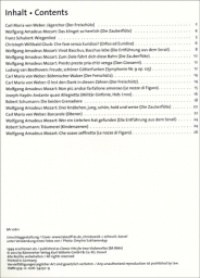 Classic Hits for 2 Cellos