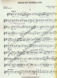 The Czech Book For Violin And Piano