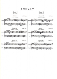 Handel - Sonatas for Violin and Basso Continuo, Vol. 1 (CD)(PET) Handel - Sonatas for Violin and Basso Continuo, Vol. 1 (CD)(PET)