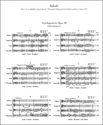 String Quartet  - Vol. 4, Op. 20