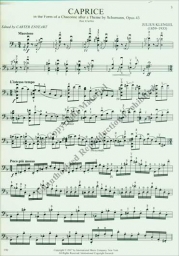 Klengel - Caprice in the From of a Chaconne Op. 43 (INT)