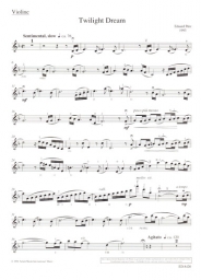 Twilight Dream