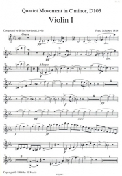 Schubert - Quartet Movement in C minor, D.103