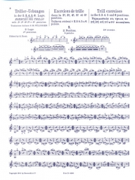 Violin Studies, Op.7, Part 2