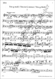 Trio in G minor for Piano, Violin and Violoncello
