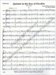 Telemann - Quintet in the Key of Flexible TWV 44:11 (LATH)