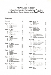 Naughty Bits - 2nd Violin