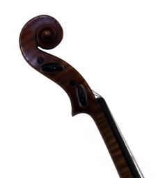 German Violin Labelled SALVADORE DE DURRO - 7/8