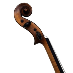 French Violin By JTL