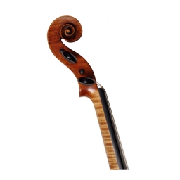 Violin Labelled Paolo Antonio Testore