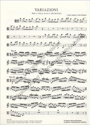 Theme and Variations for Viola and Orchestra