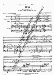 Trio in Bb Major, Op. 11