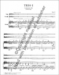 Brahms - Piano Trios (HEN)