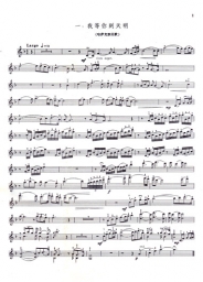 Tour of Xin Jian Violin Pieces