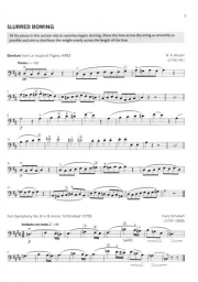 Double Bass Solo Techniques