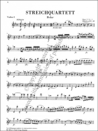 Haydn - String Quartets Vol. 9 (HEN)