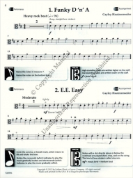 Developing Virtuosity Book 1 - Viola