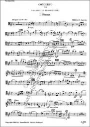 Concerto für Violoncello und Orchester