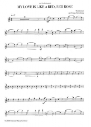 The Violin: A Collection