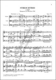 String Trios, Op. 77b, 141b - Score