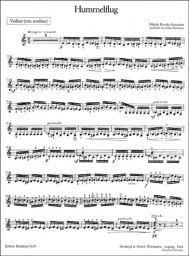 Flight of the Bumblebee