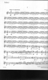 Smetana - String Quartet No. 1 in E minor "From My Life" (BAR)