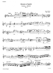 300 Years of Violin Music - Romanticism 2