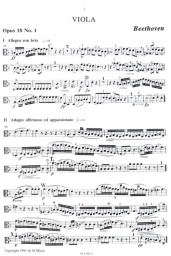 Naughty Bits from Beethoven and Mozart String Quartets for Vla