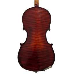 German Violin Labelled SALVADORE DE DURRO - 7/8