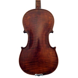 Violon