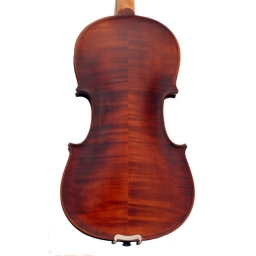 Eastman Select #305 4/4