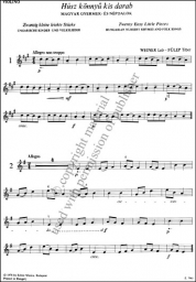 Twenty Easy Little Pieces