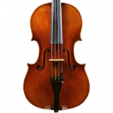 Snow Viola #900 - 16"